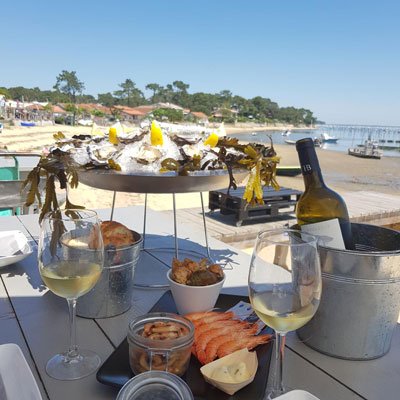 Exploration de la Baie d'Arcachon